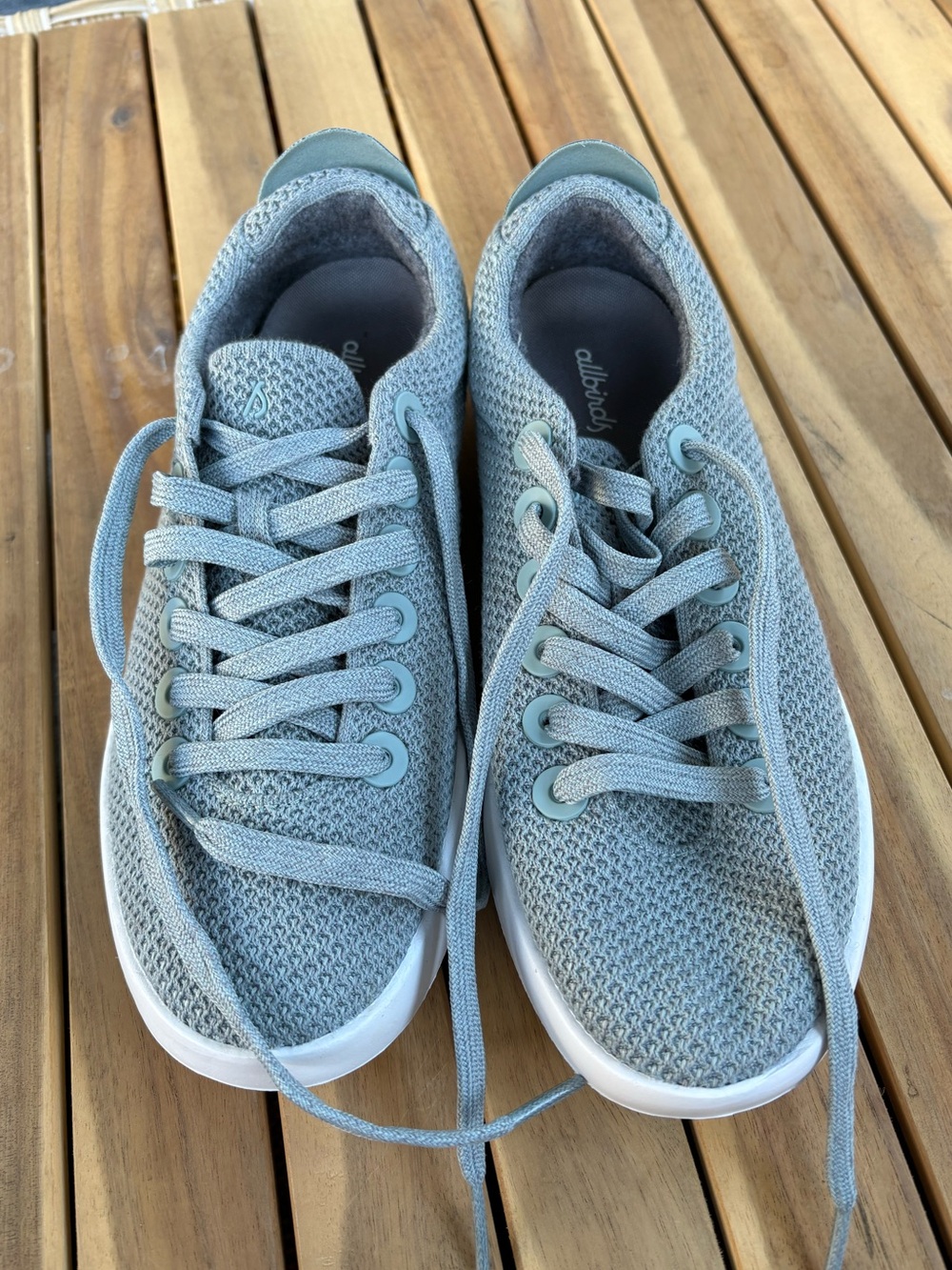 Allbirds Tree Piper Low Top Casual Sneakers